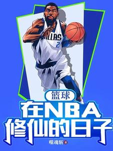 篮球小说nba